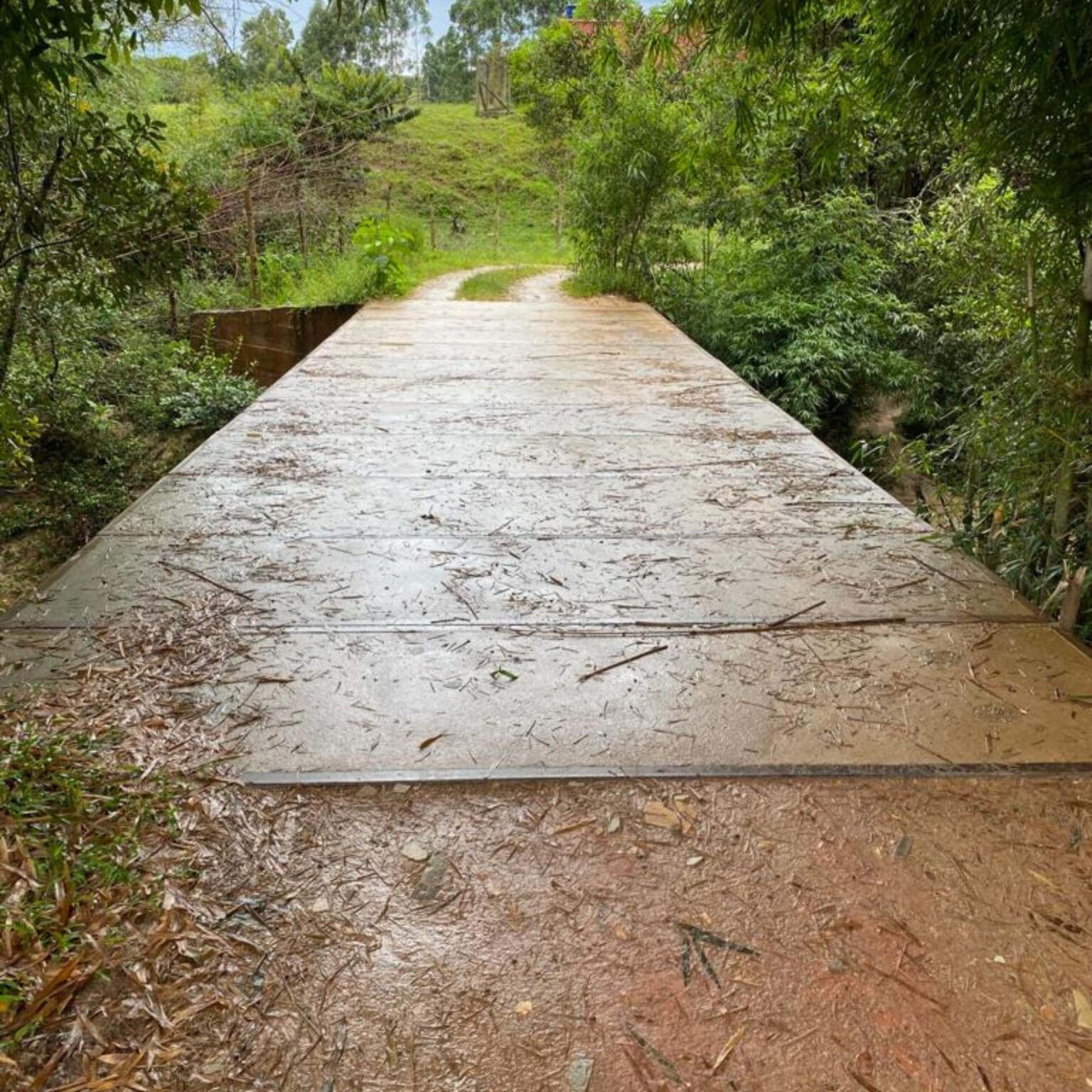 Ponte - Luminárias MG - São Sebastião (2)