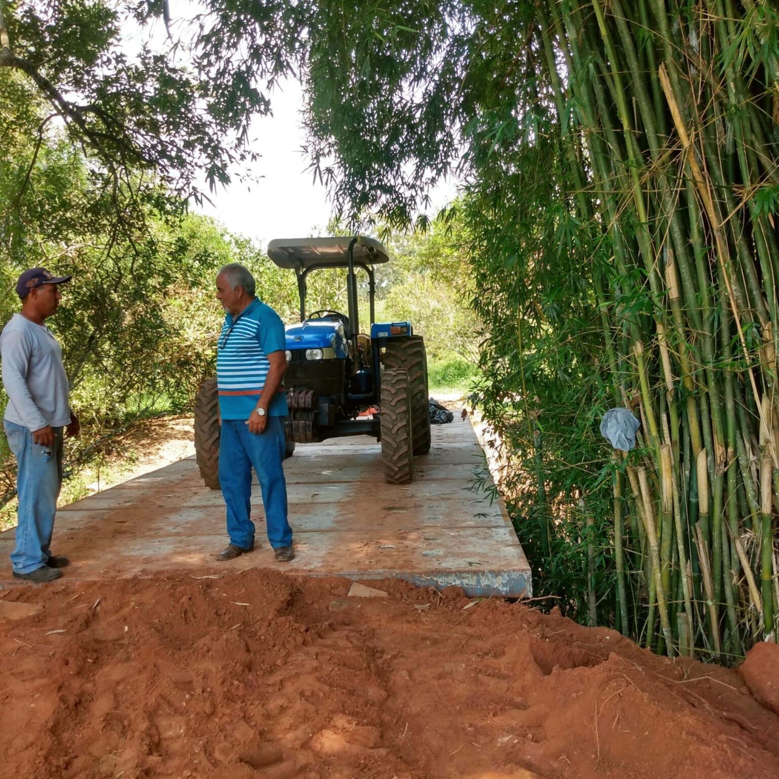 Ponte - Luminárias MG - São Sebastião (7)