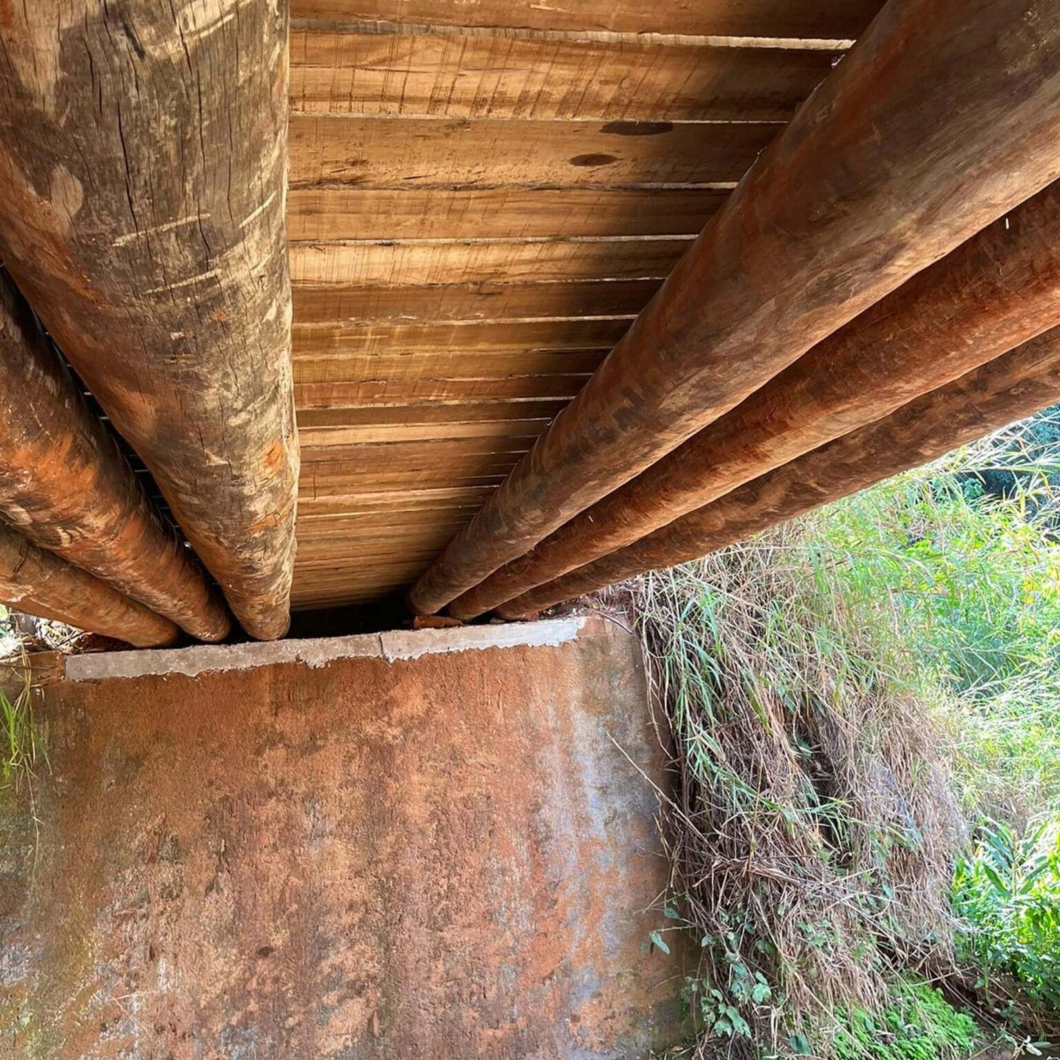 Ponte São Carlos - SP (15)